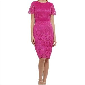 Alexia Admor Delora Lace Sheath dress size 8
